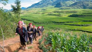 red-dao-people-cultural-exchange