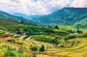 trekking-through-rice-terraces-sapa