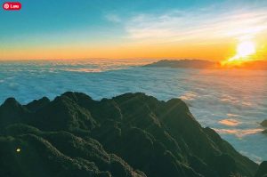 fansipan-summit-sunrise-hike-experience