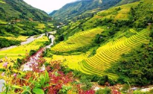 minority-villages-sapa-cultural-experience