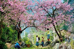 sapa-trekking-lao-chai-ta-van-giang-ta-chai