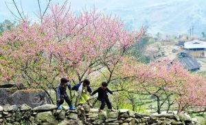 sapa-ethnic-village-experience