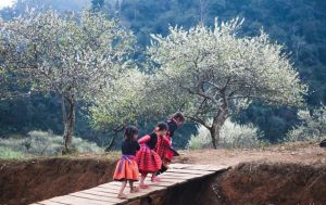 sapa-trekking-suoi-ho-matra-ta-phin