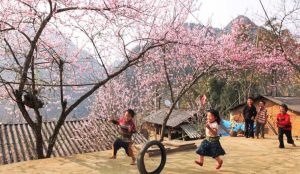 sapa-trekking-sa-seng-hang-da-hau-tru-ngai