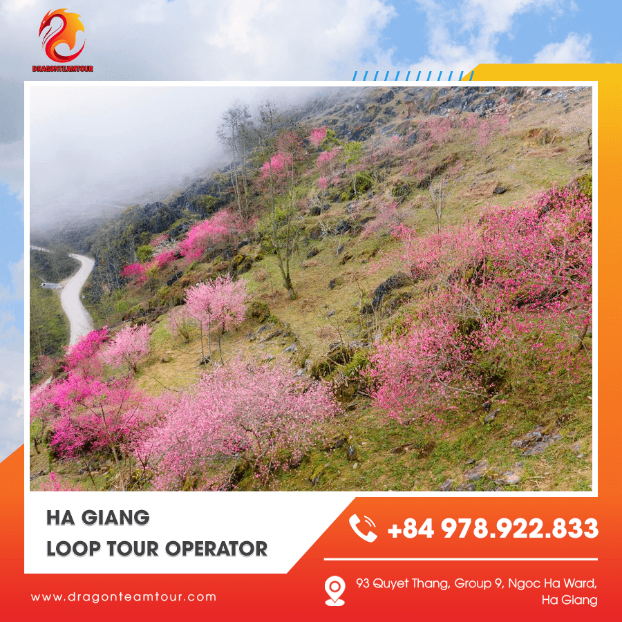Small group Ha Giang Loop tour operator